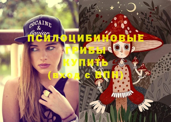 МДПВ Покровск