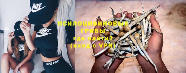 apvp Покров