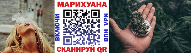 Бошки марихуана конопля дарнет шоп Егорьевск